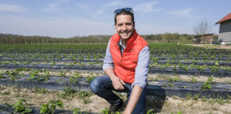 Truskawkowe Inspiracje – ochrona truskawek przed kwitnieniem