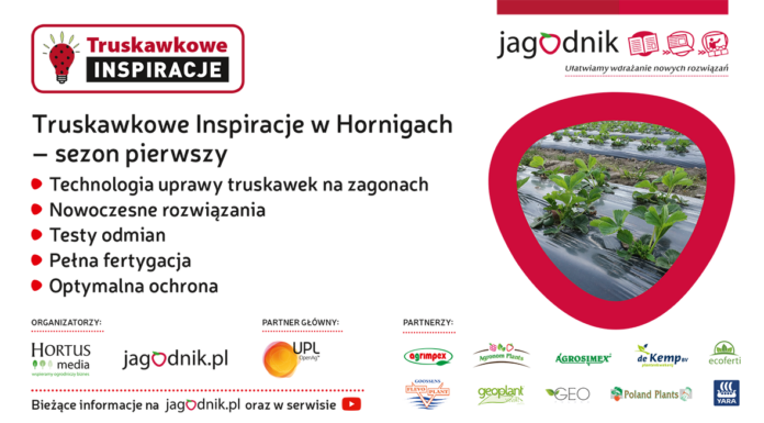 Truskawkowe Inspiracje w Hornigach – nowy wymiar plantacji polowych truskawek
