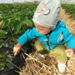 IMG20220506165401monitoring_plantacji