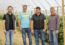 Maliny w technologii bez pozostałości