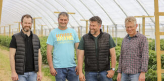 Maliny w technologii bez pozostałości