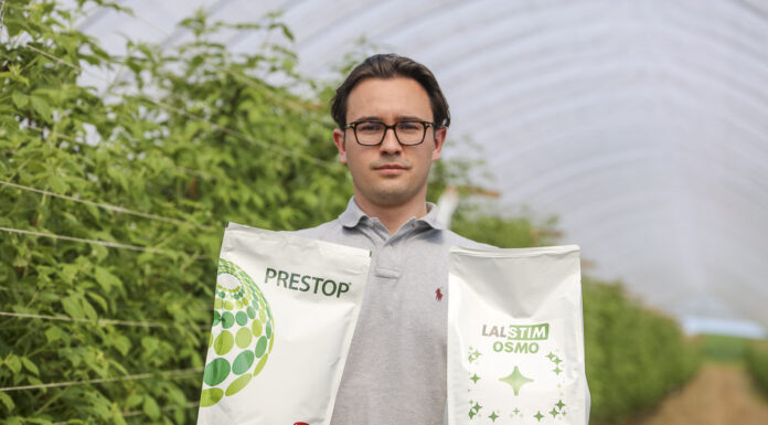 Produkty mikrobiologiczne w ochronie malin