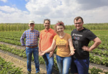 Truskawkowe Inspiracje w Hornigach. Zapraszamy na Praktyczne Warsztaty 25 maja