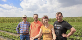 Truskawkowe Inspiracje w Hornigach. Zapraszamy na Praktyczne Warsztaty 25 maja