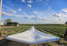 Przymrozki 2022. Plantatorzy chronią swoje plantacje i walczą o utrzymanie plonu