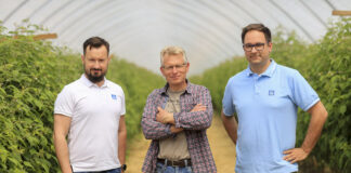 Kwitnienie malin i aktualne zalecenia nawozowe