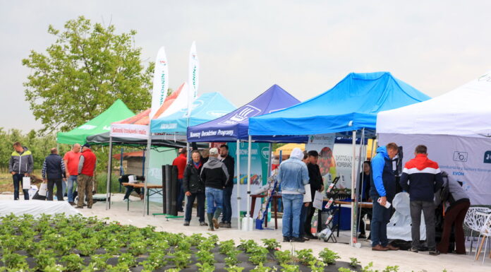 Truskawkowe Inspiracje w „deszczu” informacji (cz. II)