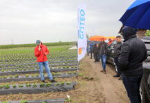 Truskawkowe Inspiracje w „deszczu” informacji (cz. I)