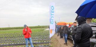 Truskawkowe Inspiracje w „deszczu” informacji (cz. I)