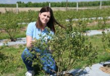 Nowe biostymulatory w projekcie Borówkowe Factory