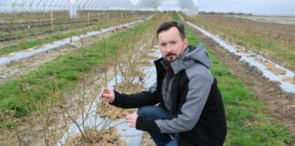 Znane i nowe rozwiązania do nawożenia borówki od firmy Yara – Borówkowe Factory 2022