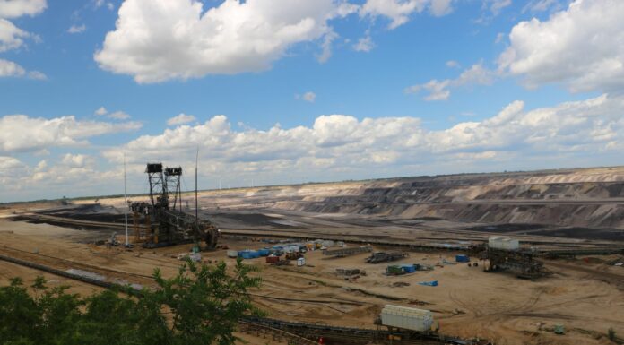 Flagowe produkty i nowości z oferty Agrosimex