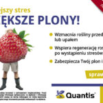 Syngenta_Quantis_600x400