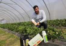 Produkty wpływające na zdrowotność i jakość truskawek – rekomendacje z firmy BioAgris szymon kamiński