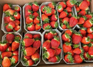 Zakaz sprzedaży owoców i warzyw w plastikowych opakowaniach! – tak uważa 65% Polaków. Co na to prawo?