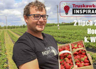 Truskawkowe Inspiracje w Hornigach. Spotkanie 2 lipca na podsumowanie pierwszego sezonu