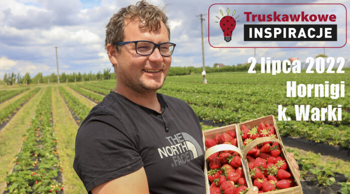 Truskawkowe Inspiracje w Hornigach. Spotkanie 2 lipca na podsumowanie pierwszego sezonu