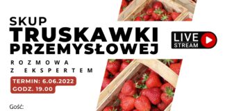 SKUP TRUSKAWKI – rozmowa z ekspertem