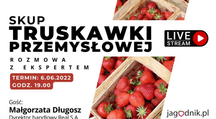 SKUP TRUSKAWKI – rozmowa z ekspertem