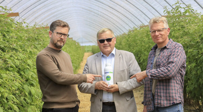 Lecytyna i miedź w integrowanych programach ochrony malin Cuperdem