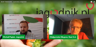 Trudne lata przed producentami truskawek przemysłowych