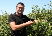 Gospodarstwo Haskap i Winiarnia Warulik