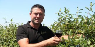 Gospodarstwo Haskap i Winiarnia Warulik