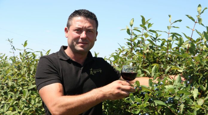 Gospodarstwo Haskap i Winiarnia Warulik