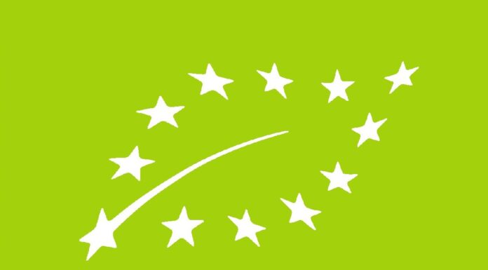 Nowa ustawa o rolnictwie ekologicznym – istotne zmiany dla producentów