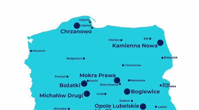 Jagoda kamczacka rozpoczyna zbiory 2022