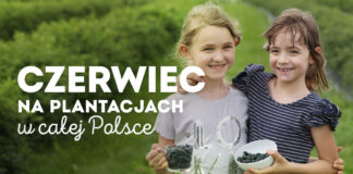 Czerwiec na plantacjach jagody kamczackiej – informacje dla plantatorów