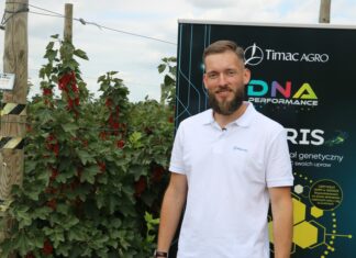 Nawożenie porzeczek nie tylko w uprawach z owocami na zbiór deserowy