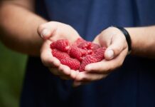 Lipcowe rekordy konsumpcji borówki i malin