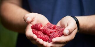 Lipcowe rekordy konsumpcji borówki i malin