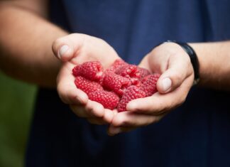 Lipcowe rekordy konsumpcji borówki i malin