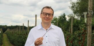 Przeziernik, wielkopąkowiec i przędziorki w czarnej porzeczce – rozwiązania do ich zwalczania