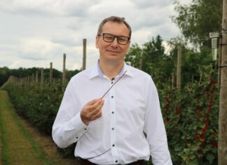 Przeziernik, wielkopąkowiec i przędziorki w czarnej porzeczce – rozwiązania do ich zwalczania