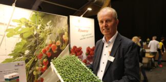 Rosnąca popularność produkcji sadzonek truskawek z nasion