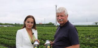 Nowe produkty na bazie kwasów humusowych w uprawie truskawek