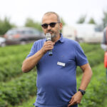 ’Dahli’ i 'Falco’ w uprawie gruntowej z sadzonek HWB i tray – czy warto?