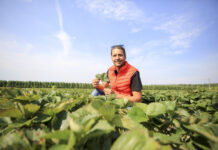Po zbiorach truskawek nadal powinniśmy chronić plantacje