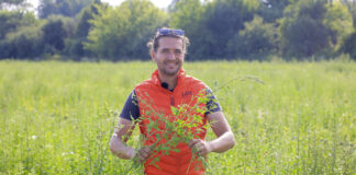 Co robić gdy chwasty przerosną truskawki? FILM