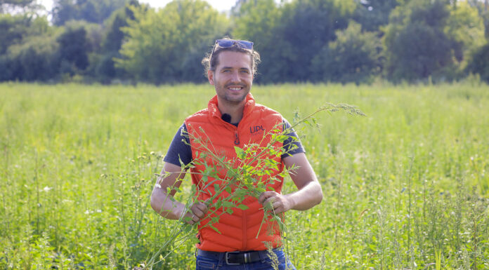 Co robić gdy chwasty przerosną truskawki? FILM