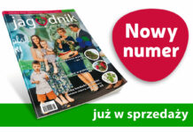 Jagodnik 6/2022 – już w sprzedaży