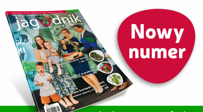 Jagodnik 6/2022 – już w sprzedaży