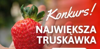 WYNIKI KONKURSU na największą TRUSKAWKĘ sezonu 2022