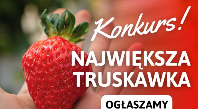 WYNIKI KONKURSU na największą TRUSKAWKĘ sezonu 2022