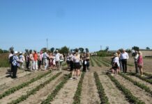 O ekologii w Skierniewicach