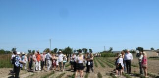 O ekologii w Skierniewicach