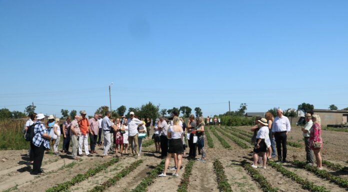 O ekologii w Skierniewicach